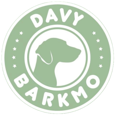 DavyBarkmo UG (haftungsbeschränkt)